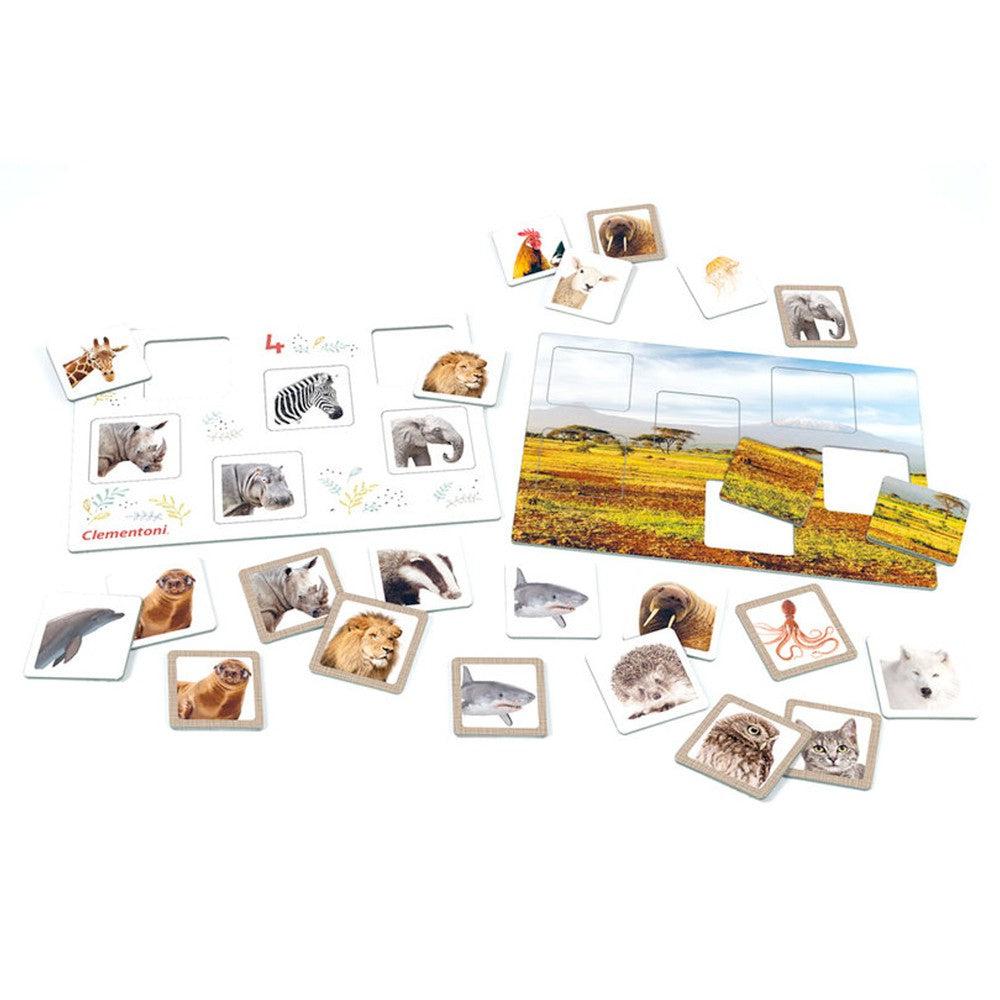 Clementoni Little Scientist-Where Do They Live, Multicolored